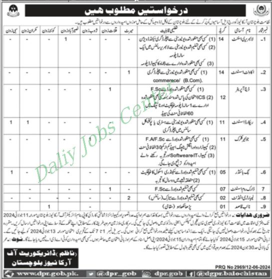 Latest Directorate of Archives Department Human Resource Jobs Quetta 2024