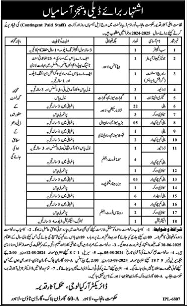 Latest Job Opportunities at Department of Archaeology &amp; Museums in Lahore 2024